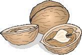 walnuts.jpg