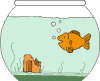 goldfish.gif