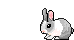 rabbit.gif
