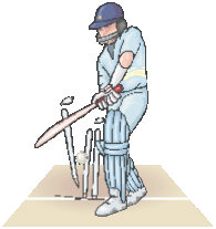 cricket.jpg