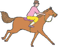 horseriding.jpg